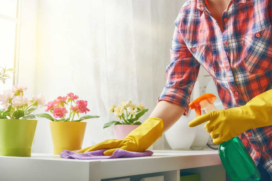 Cleaning Tips, Eco-Friendly Living, Green Cleaning Blog